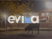 Απίστευτο περιστατικό στην Εύβοια – Πειν...