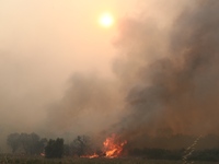 Eθνικό Αστεροσκοπείο: Αιωρούμενα σωματίδ...