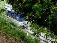 Καλάβρυτα- 25η Μαρτίου: Γέμισαν εκδρομεί...