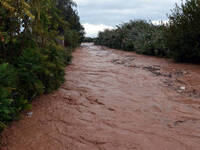 Καμενίτσα Αλισσού: Βλέπουν τα χωράφια το...