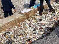 Πάτρα: Οι Αρχές βρήκαν τη μητέρα του νεκ...