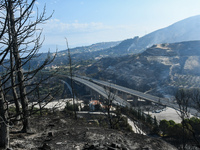 Φωτιές-Αχαΐα: Στα 33 τα «κόκκινα» κτίρια...