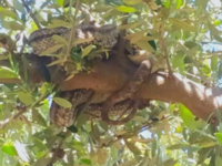 Αγρότης «πάγωσε» από τον φόβο του όταν ε...