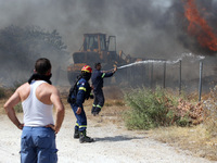 Ερύμανθος: "Δεν καταστράφηκε καμία ...