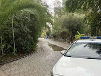 Φοινικούντα: Το «βρεγμένο» κινητό, το πε...