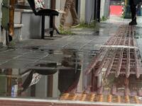 Οδύσσεια το περπάτημα υπό βροχή στα πεζο...