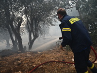 Φωτιά στην Πάστρα Κεφαλονιάς: Τέθηκε υπό...