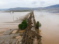 Καμπανάκι για τη Θεσσαλία - 41 κρούσματα...
