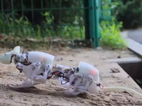 Κίνα: Δημιουργήθηκε ο πρώτος ρομποτικός αρουραίος