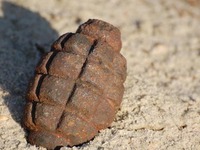 Βρέθηκε παλιά χειροβομβίδα σε δασική περ...