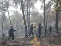 Δυτ. Ελλάδα- Πυρκαγιές: «Είμαστε έτοιμοι...