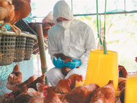 Πανδημία: Έρχεται νέα; Τι ανησυχεί τους ...