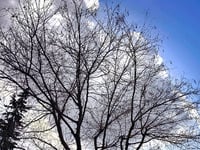 Καιρός Πρωτοχρονιάς: Έρχεται κρύο από τη...