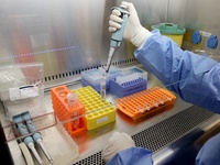 Κορωνοϊός: Σχεδόν τα μισά κρούσματα μολύ...