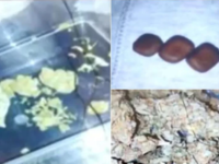 Βύρωνας: «Υπερβολική δόση ηρωίνης και κο...