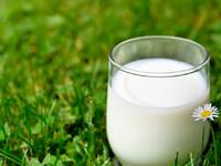 Σίδηρος και ασβέστιο για γερό σώμα: 2ο ε...