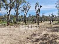 Κοινο_τοπία και άλλοι φορείς: "Να σ...