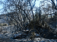 Τι είπε ο Πρόεδρος της ΔΕΥΑΠ στο Δημοτικ...