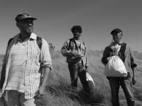 Διαδικτυακά θα γίνει το 11ο Φεστιβάλ Πρω...