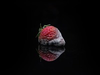 Η μούχλα σε τρόφιμα προκαλεί από καρκίνο...