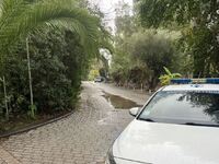 Φοινικούντα- Νέο βίντεο ντοκουμέντο: Αλλ...