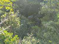 Λευκάδα: Νεκρό το ζευγάρι που είχε εξαφα...