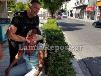 «Βοήθεια, θα με σκοτώσει» - Τη γρονθοκόπ...