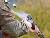 ΗΠΑ: Κυκλοφόρησε ημιαυτόματο τουφέκι για...