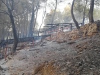 Τι έκαψε η φωτιά στον Αρχαιολογικό χώρο ...