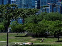 Φονικός καύσωνας στον Καναδά: Πάνω από 2...