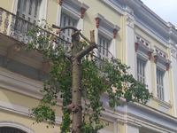 Πάτρα: Καμπανάκι από τους αρχιτέκτονες γ...