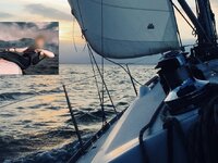 Η τότε 11χρονη αθλήτρια ιστιοπλοΐας, σήμ...