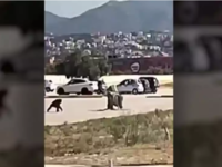 Αττικό Ζωολογικό Πάρκο: Η στιγμή που ο χ...