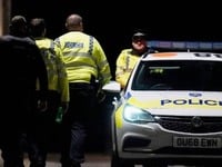 Βρετανία: Γόνος πλούσιας οικογένειας σκό...