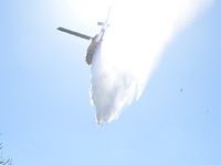 Copernicus- Φωτιές: Πάνω από 55.000 στρέ...