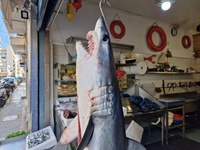 "Τα σαγόνια του... καρχαριοειδούς&q...