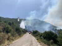  Δροσιά Αχαΐας: Απομακρύνθηκαν περί τα 1...