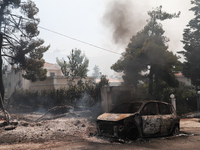 Tέσσερις προσαγωγές για τη φωτιά στη Στα...