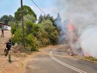 Ηλεία: Τεράστια είναι η καταστροφή για τ...