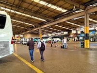 Πάτρα: Πληρότητα 100% και διπλάσιες αναχ...