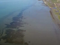 Άμπωτη στο Ναύπλιο: Ένα εντυπωσιακό φυσι...