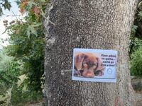 Δυτ. Ελλάδα: Φρικτός θάνατος για οκτώ σκ...