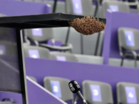 Σμήνος μελισσών διέκοψε τουρνουά τένις σ...