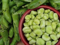 Το ταπεινό και παρεξηγημένο όσπριο που μ...