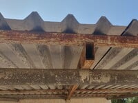 Δυτική Αχαΐα: Aστυνομικοί ανακάλυψαν απο...
