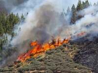 Οριοθετήθηκε η φωτιά στην Ηλεία στην περ...