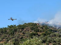 "Κοκτέιλ" ζέστης και ανέμων σή...