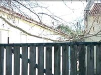 Θεσσαλονίκη: Εκπαιδευτής ιππασίας κατηγο...