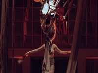 Πάτρα: Στο Λιθογραφείον η εναέρια χοροθε...