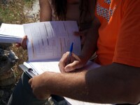 Πάτρα: Τελευταία εβδομάδα απογραφής - Ο ...